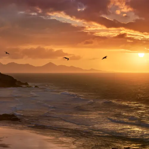 iStock-1496386608la pared_result